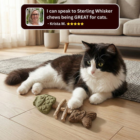 PurrGuard – Catnip & Silvervine Dental Chew Sticks