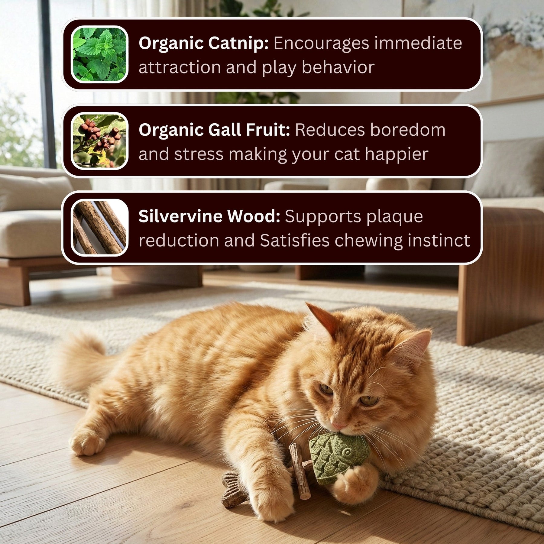 PurrGuard – Catnip & Silvervine Dental Chew Sticks