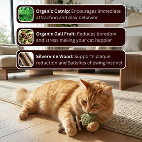 PurrGuard – Catnip & Silvervine Dental Chew Sticks