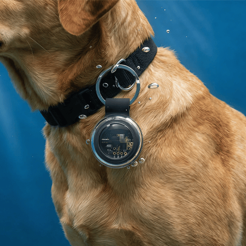 Findora – Mini Real-Time Smart Tracking Device
