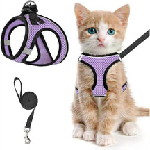 PawFit – Adjustable Pet Harness & Leash Set
