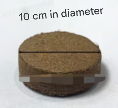 CocoBloom – Natural Coconut Coir Bricks for Plants