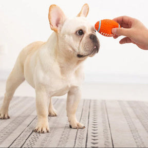 ToughPaw – Durable Chew Ball for Dogs