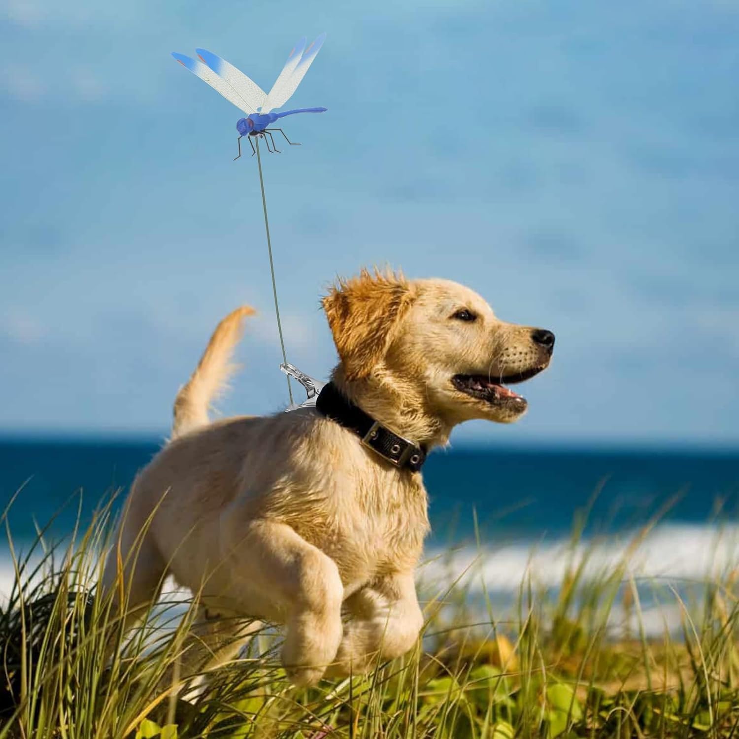 AeroShield – Dragonfly Bug Repeller