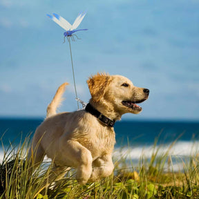 AeroShield – Dragonfly Bug Repeller