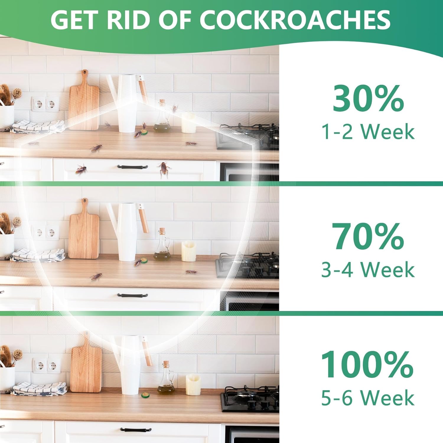 InsectBarrier – Roach Control Solution