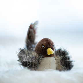 HuntFlap – Interactive Bird Cat Toy