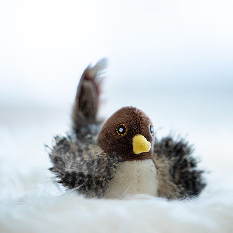 HuntFlap – Interactive Bird Cat Toy