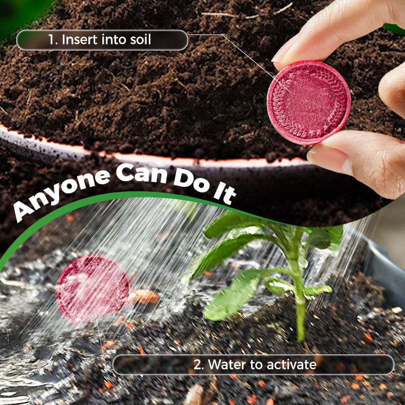BloomFuel – Plant Growth Formula