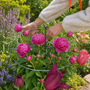 GardenCore – Upright Plant Support Ring