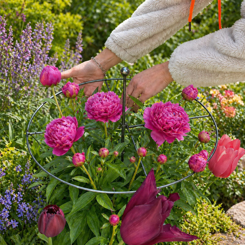 GardenCore – Upright Plant Support Ring