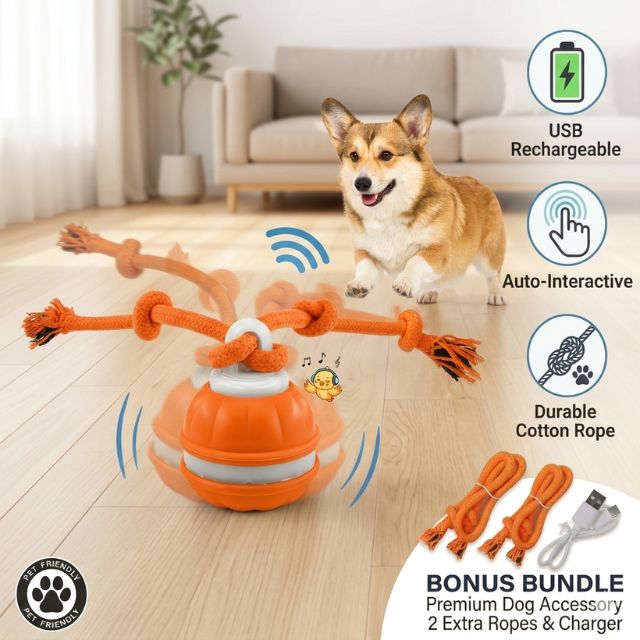 WagRoll – Motion Activated Pet Ball