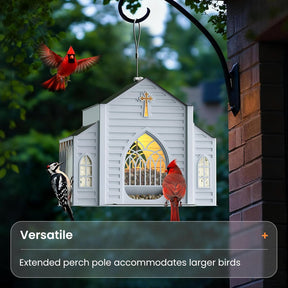 FeatherGlow – Solar Powered Light Up Bird Feeder