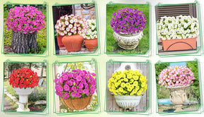EverBloom – UV Resistant Artificial Petunias Flowers