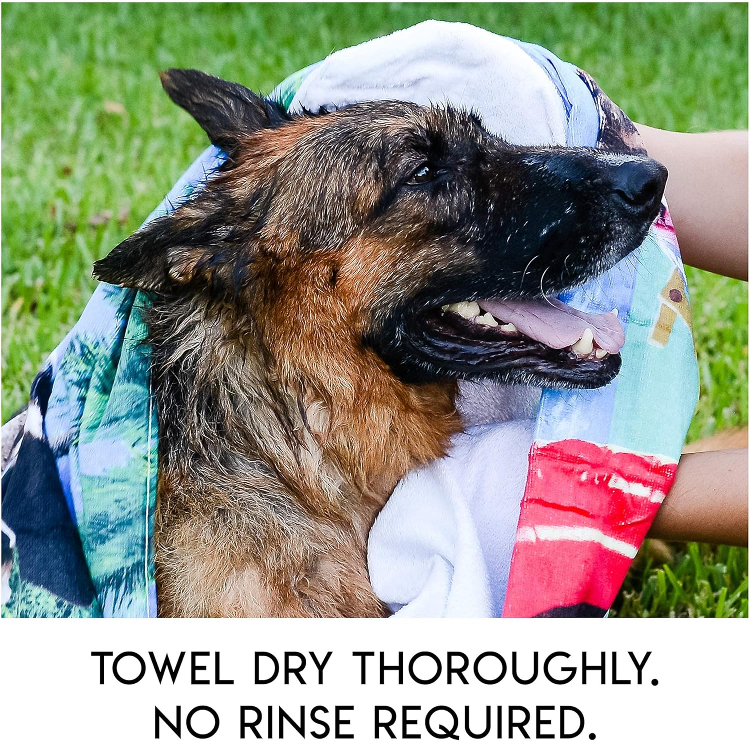 PawComfort – Rinse-Free Grooming Solution