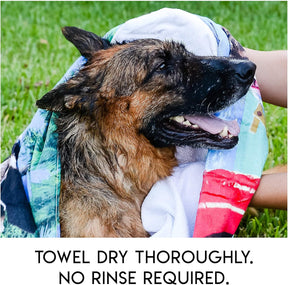 PawComfort – Rinse-Free Grooming Solution