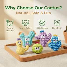 CatnipCove - Cactus Play Toy Collection