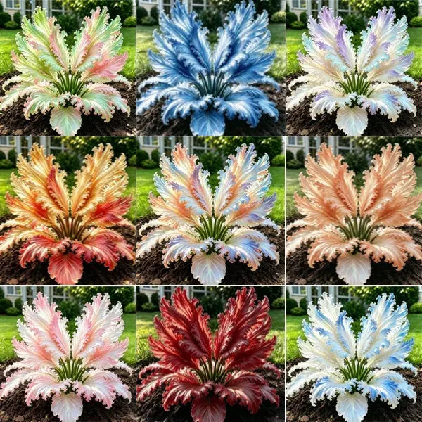 GardenGrace – Swan Feather Hosta Bulbs Collection