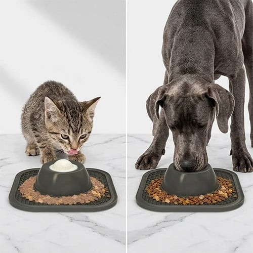 TreatMotion – 2-in-1 Lick Mat Feeding Toy