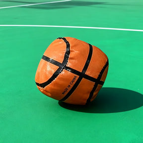 SwishZone – Home Basketball Fun Set