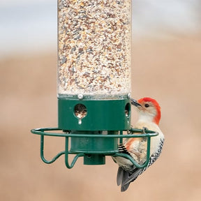 SeedGuard – Smart Hanging Bird Feeder