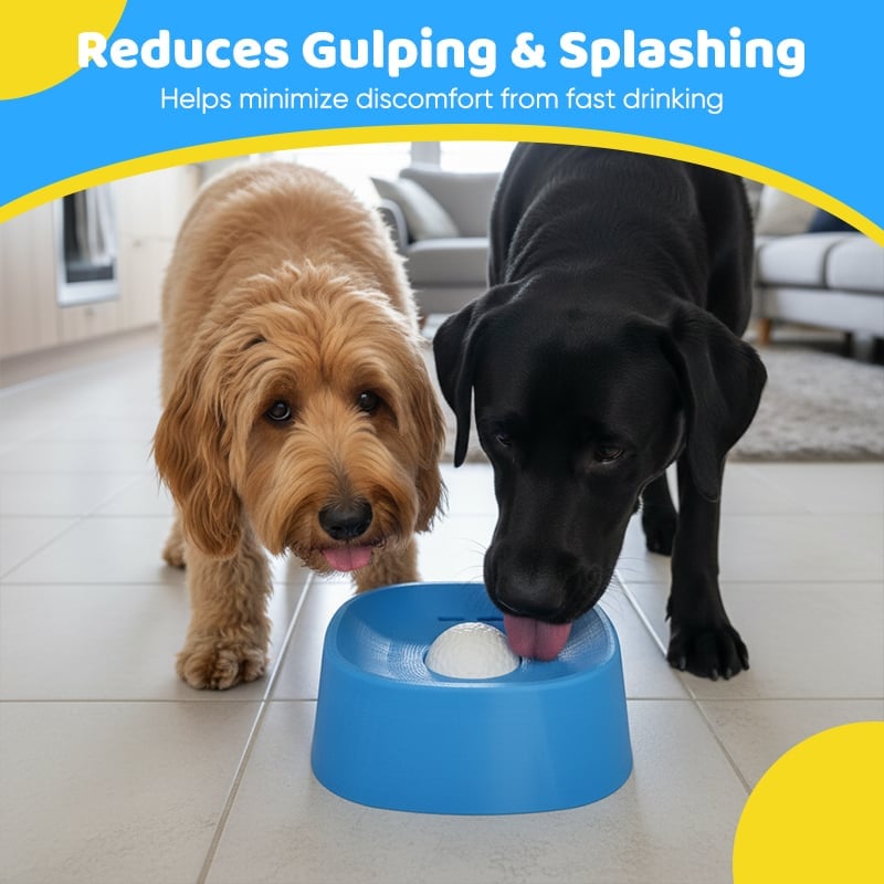 SipGuard – Controlled Drinking Bowl for Pets