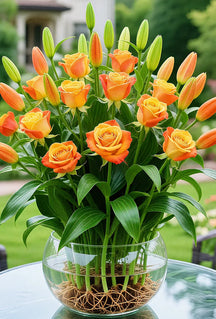 🌹 Hydroponic Roses – Bloom Without Soil! 🌹