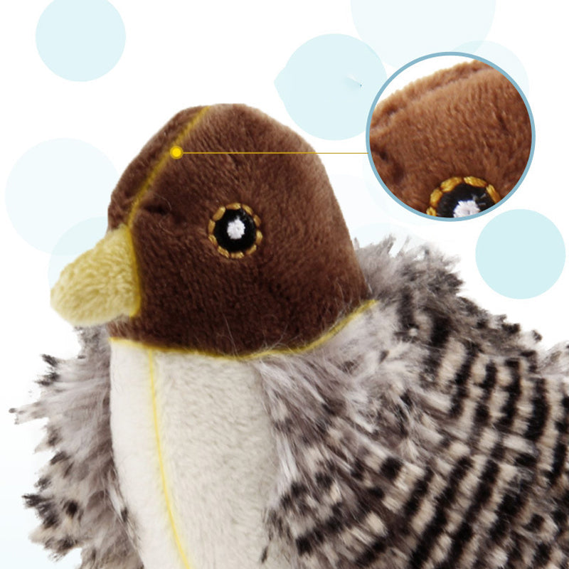 HuntFlap – Interactive Bird Cat Toy