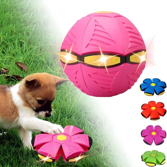The World's Best 2-in-1 Interactive Toy To Keep Your Dog Entertained For Hours!