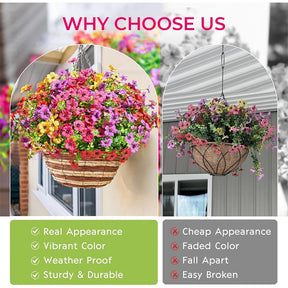 SunPetal – Fade-Proof Garden Blooms