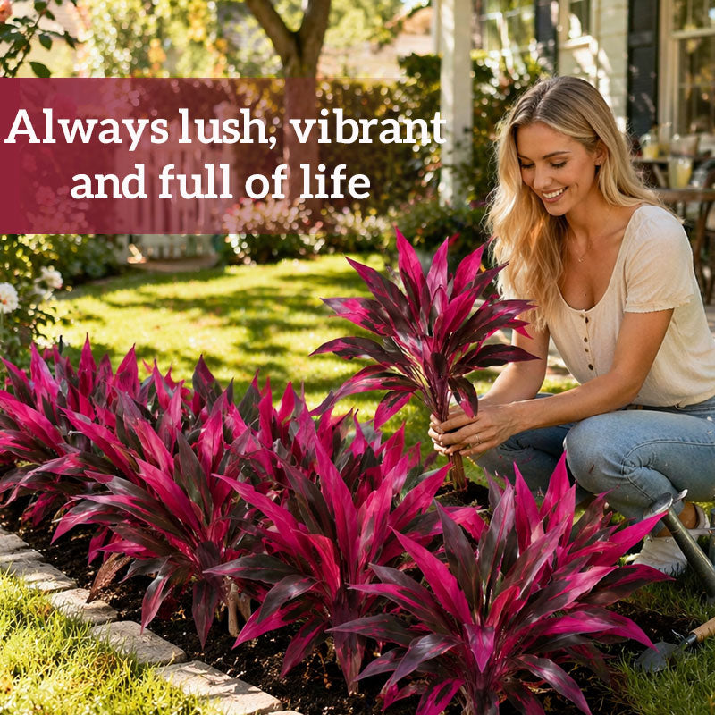 EverLeaf – Realistic Artificial Ti Plant Decor