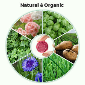 BloomFuel – Plant Growth Formula
