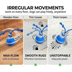 WagRoll – Motion Activated Pet Ball