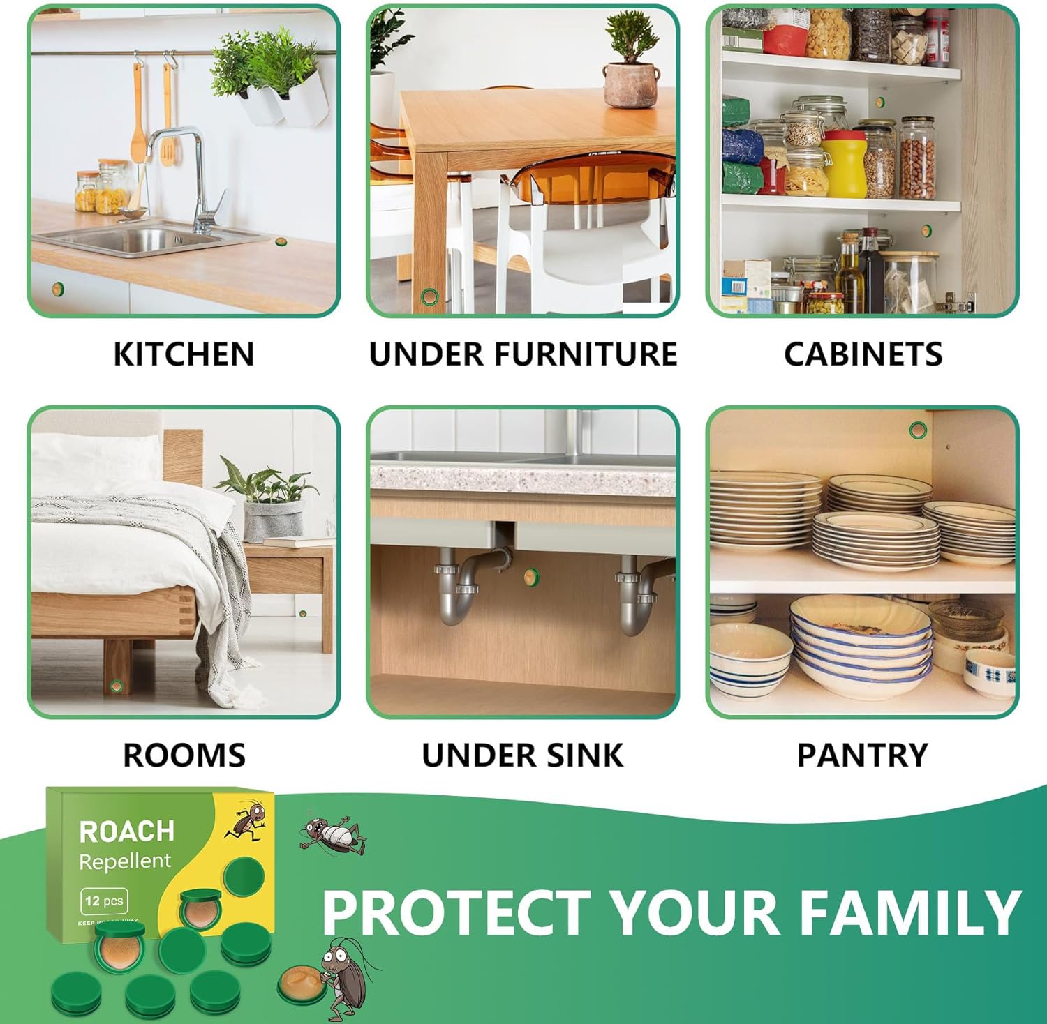 InsectBarrier – Roach Control Solution