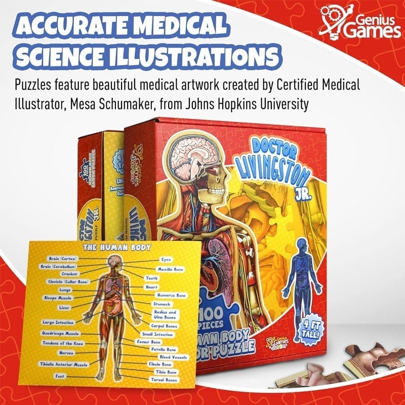 Organix – Interactive Anatomy Learning Puzzle