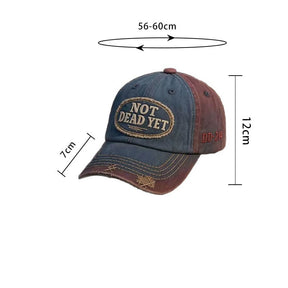 TitanCap – Vintage Washed Resilience Baseball Cap