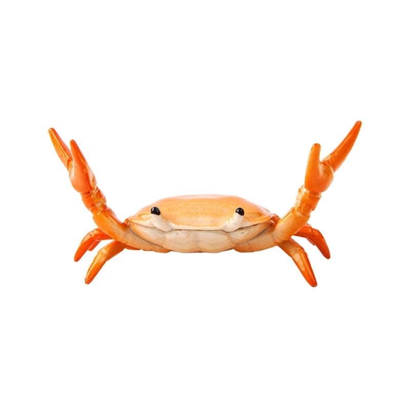 CrabFlex – Weightlifting Crab Pen Holder