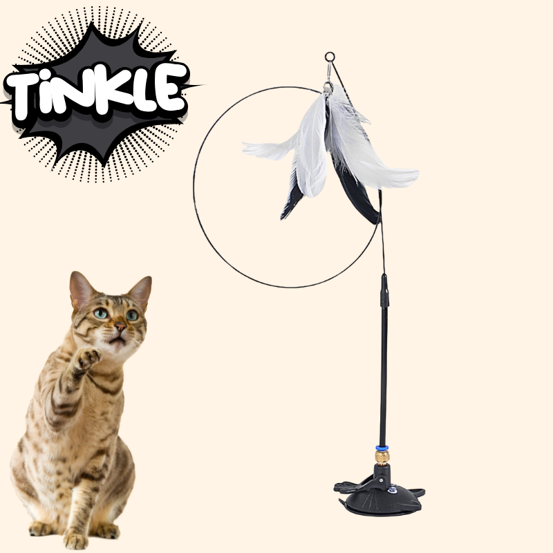CatVibe – Stimulating Interactive Toy Set