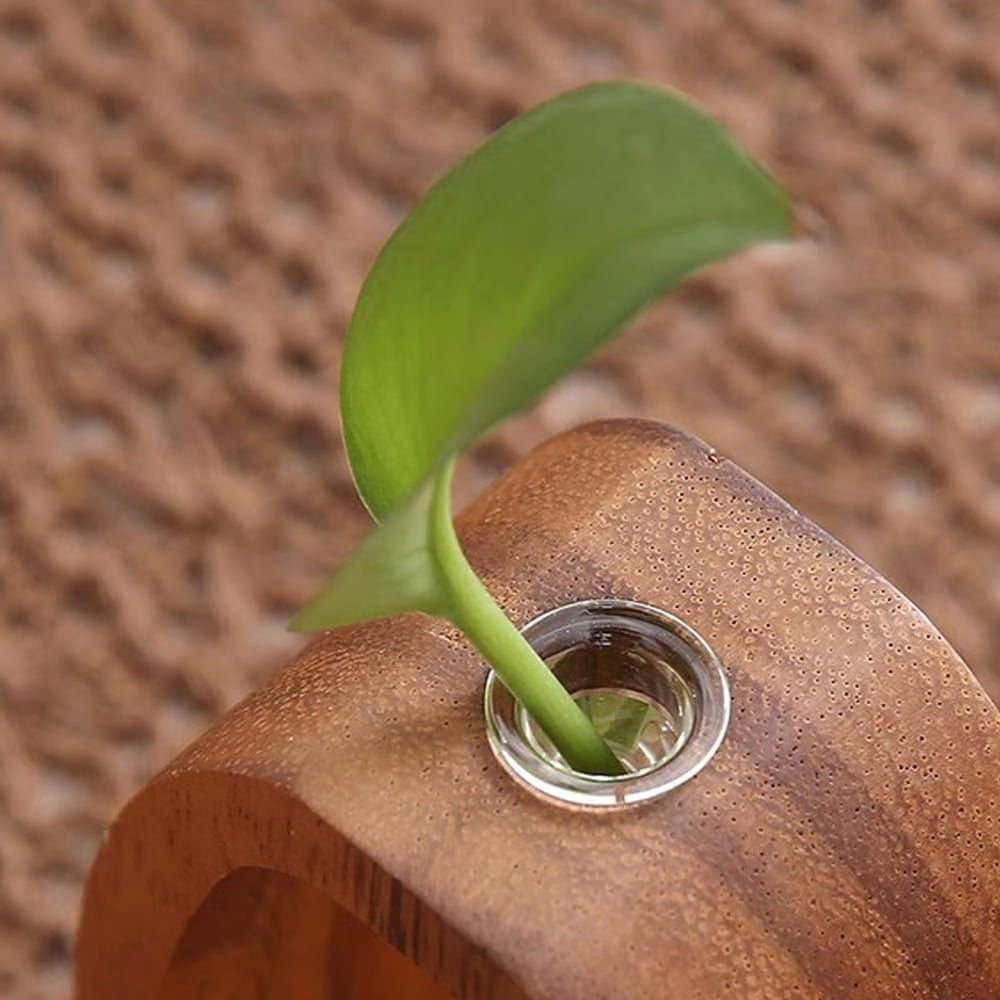 NatureNest – Solid Wood Glass Flower Vase