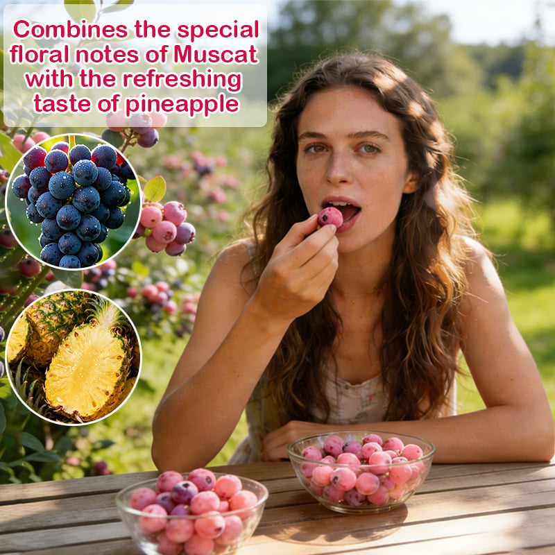 PinkDelight Berries – Premium Garden Seeds