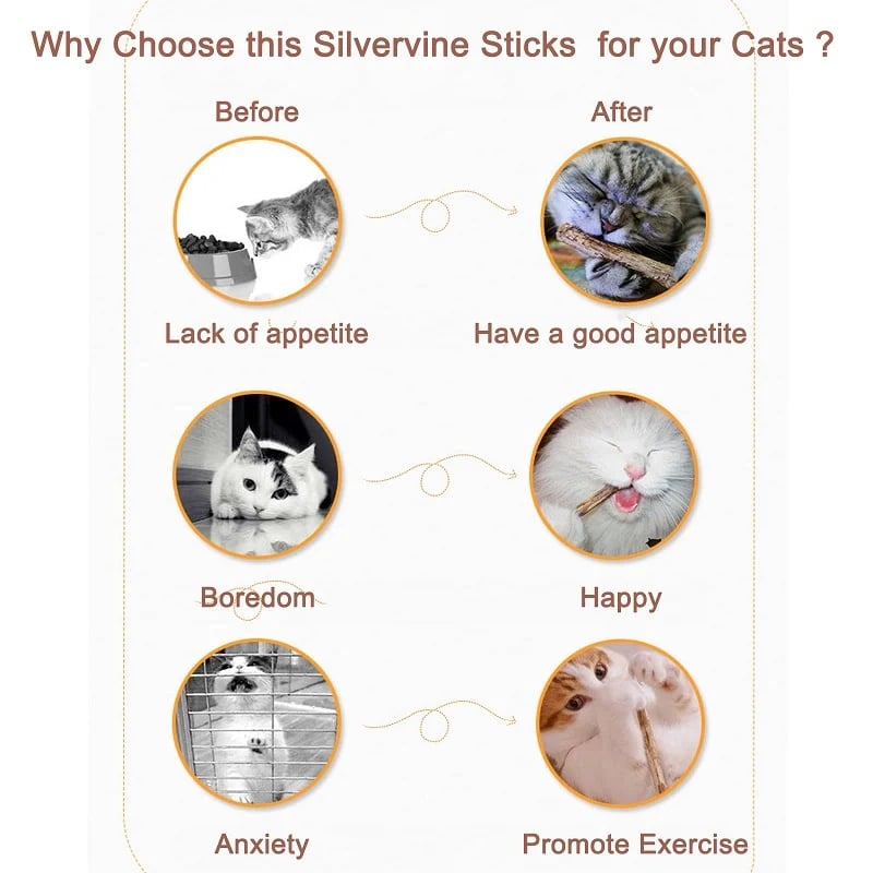 AuraStick – Natural Silvervine Cat Chew Toy