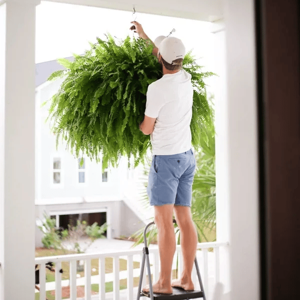 LeafLuxe – Realistic UV Protected Artificial Boston Fern