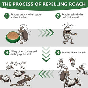 BugFree – Home Roach Protection Solution