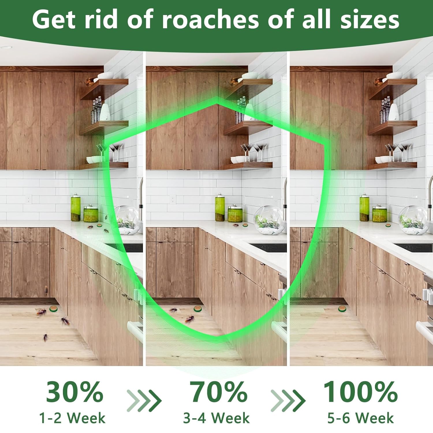BugFree – Home Roach Protection Solution