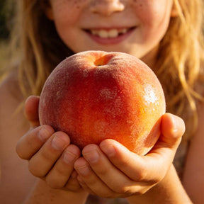 HoneyRed Orchard Seeds – Dwarf Peach Tree Kit