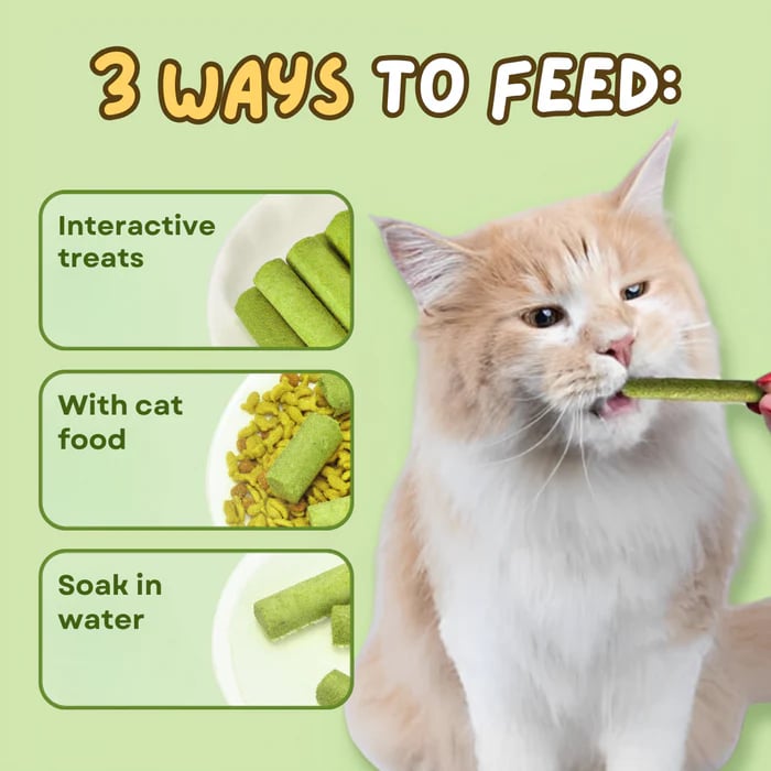 PurrChew – Natural Cat Grass Chew Sticks