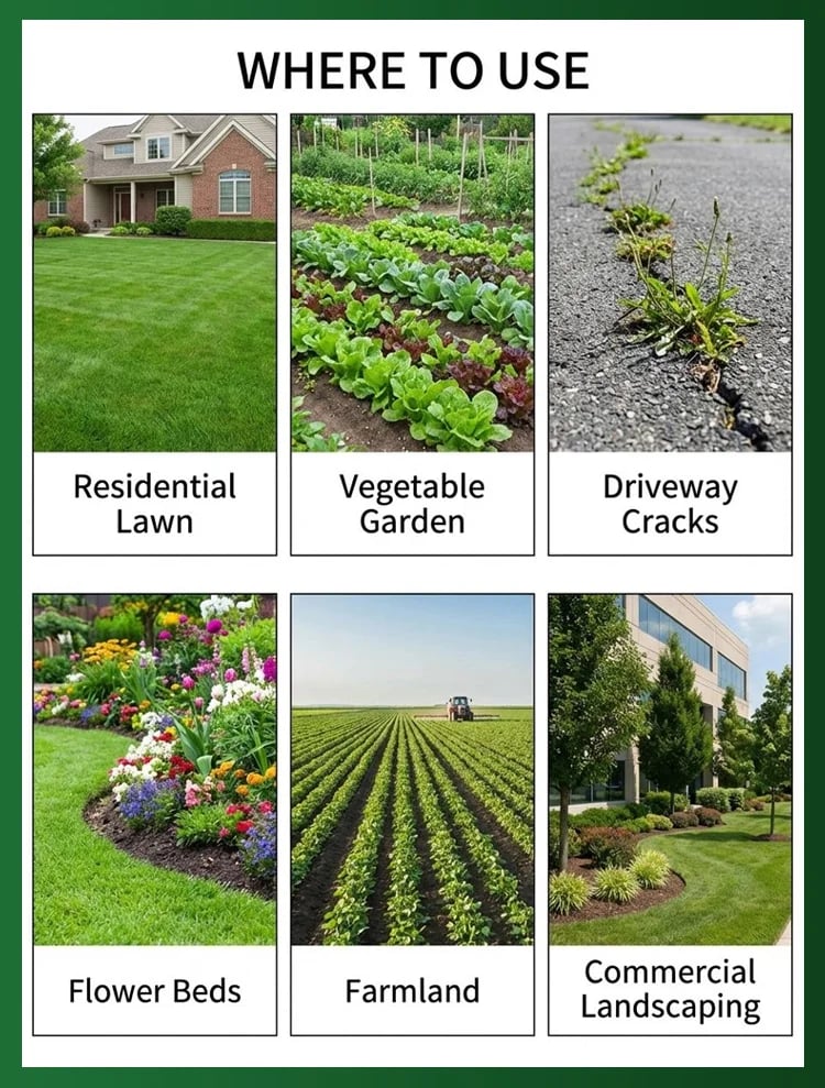RootRevive – Garden Root Protection Treatment