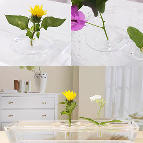 FloraFloat – Creative Floating Floral Arrangement Holder