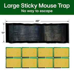 CatchMax – Mouse Trap Mat