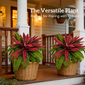 EverLeaf – Realistic Artificial Ti Plant Decor